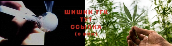mdpv Бородино