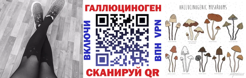 купить наркотик  Старица  Галлюциногенные грибы Psilocybe 